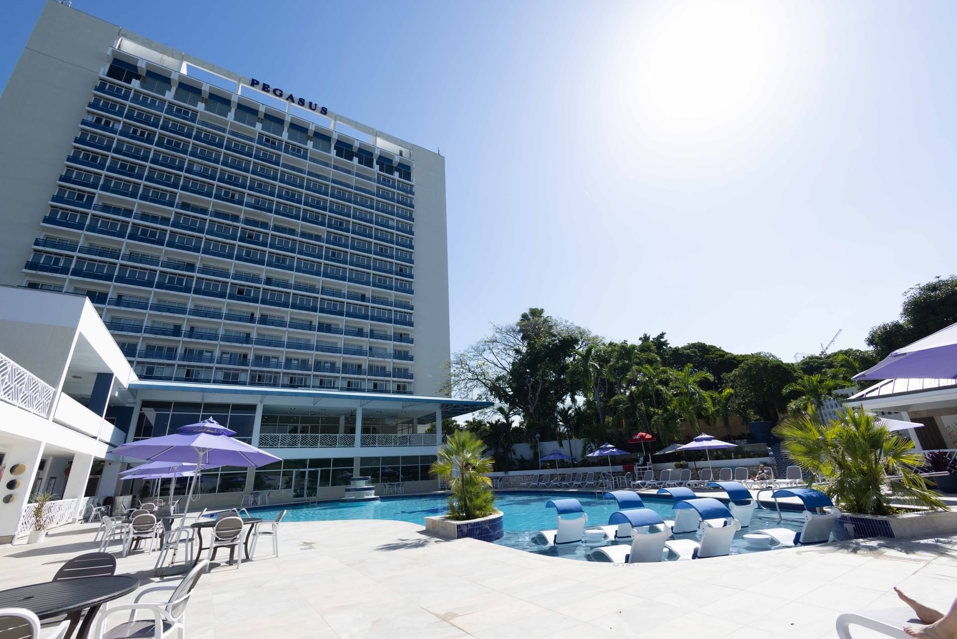 The Jamaica Pegasus Hotel photo 15
