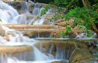 Dunn's River Falls & Park photo 6