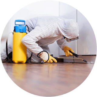 White Rose Pest Control Services photo 1