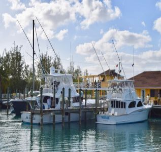 Davis Harbour Marina photo 13