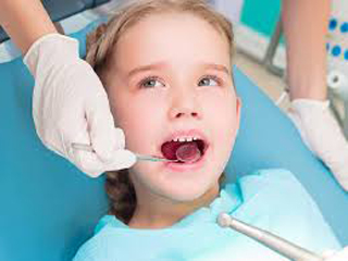 Enescot Florence Dr - DDS photo 6
