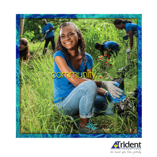 Trident Insurance Company Ltd photo 4