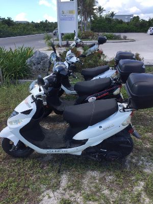 Island Wheels & Rentals photo 10