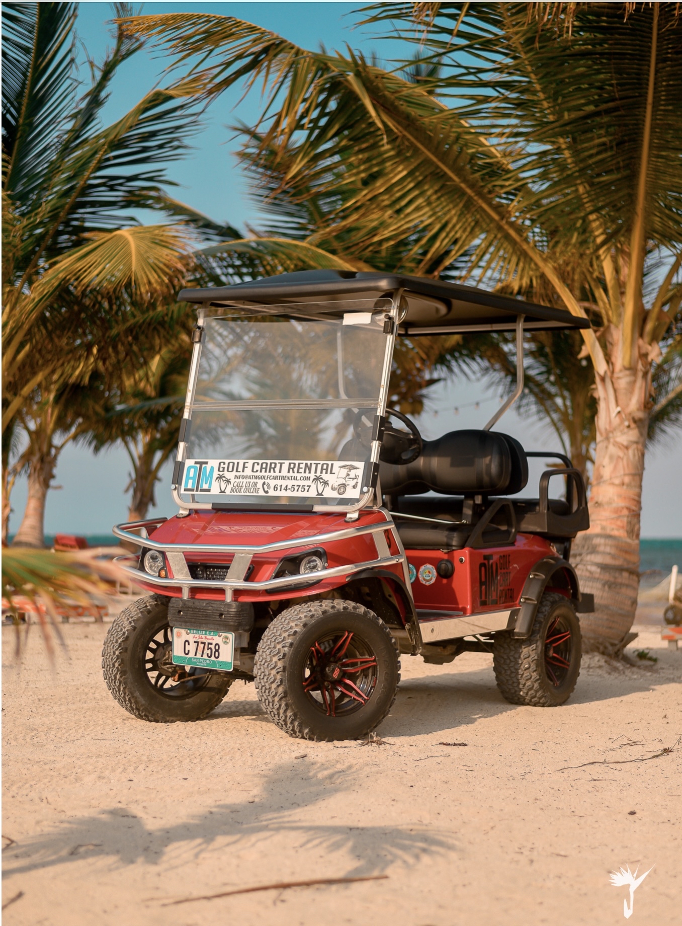 ATM Golf Cart Rental photo 2