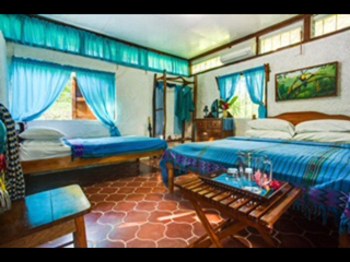 Maya Mountain Lodge photo 3