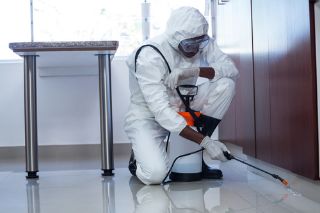 Ace Pest Control & Fumigating Servs Co Ltd photo 4