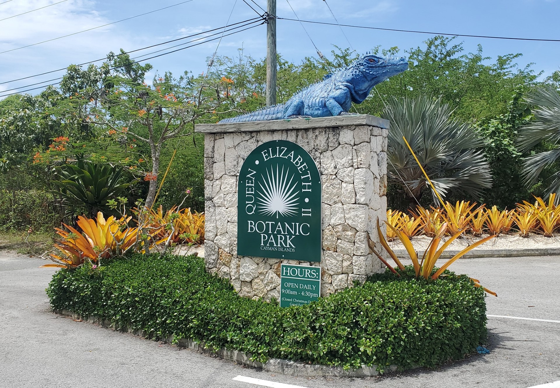 Queen Elizabeth II Botanic Park photo 4
