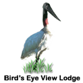 Yellow Green Vireo Campsite logo