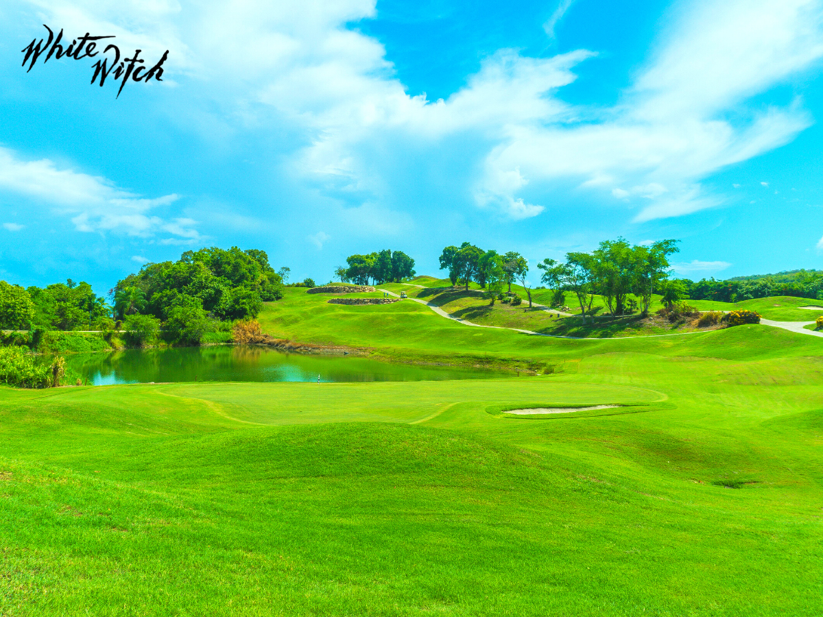 Rose Hall Golf photo 3
