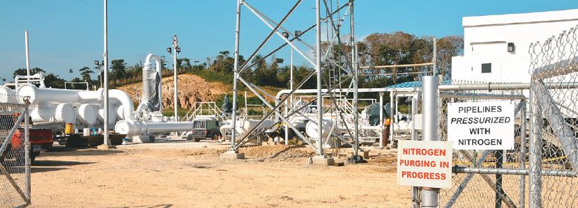 Caribbean Analytical Services photo 3