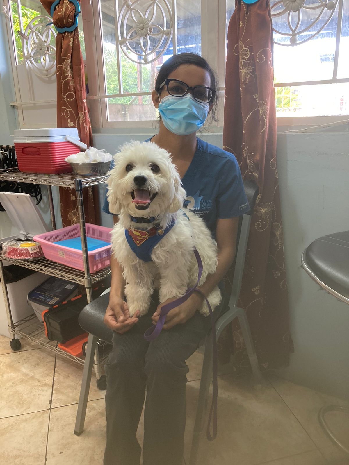 Compassionate Care Veterinary Clinic photo 2