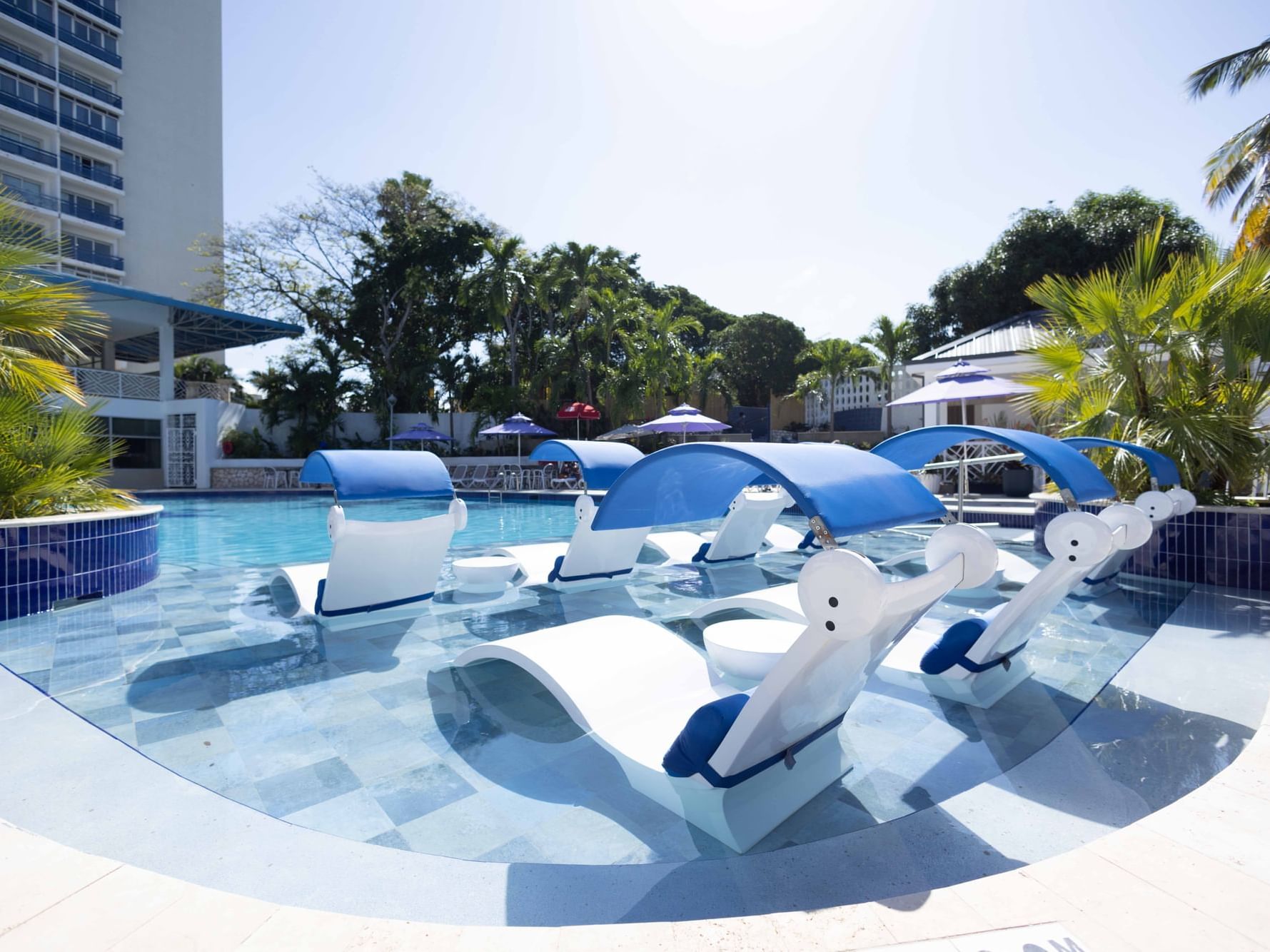 The Jamaica Pegasus Hotel photo 4
