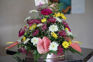 Audrey E Williams Funeral Servs photo 6