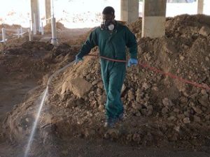 FDL Pest Control Solutions photo 4