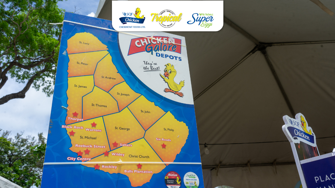 Chicken Galore photo 5