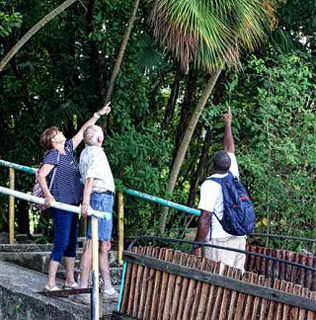 Lamanai Eco Tours photo 8