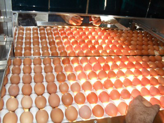 Country Foods photo 4