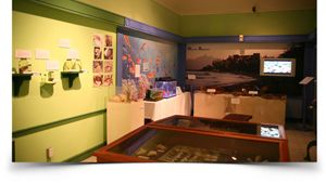 The Barbados Museum & Historical Society photo 9
