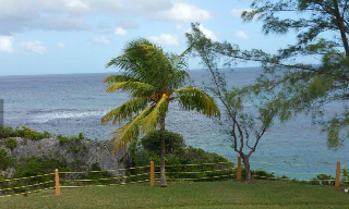 Carib Ocho Rios Resort photo 2