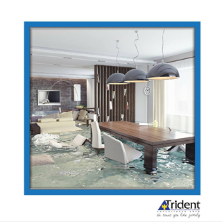 Trident Insurance Company Ltd photo 7
