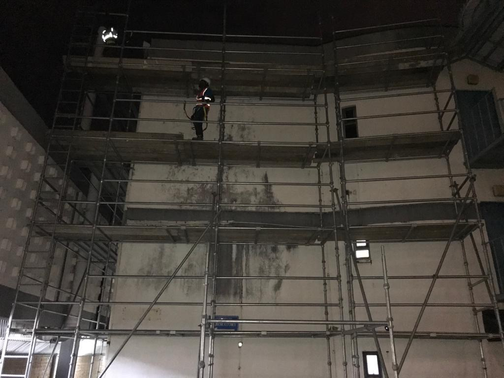 Scaffol Plus photo 2
