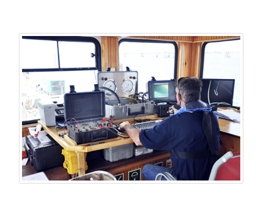 Executive Marine Management photo 2
