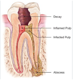 Oasis Dental Centre photo 4