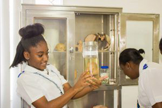 Sigma College Of Nursing & Applied Sciences photo 2