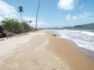 National Conservation Authority (NCA) photo 4