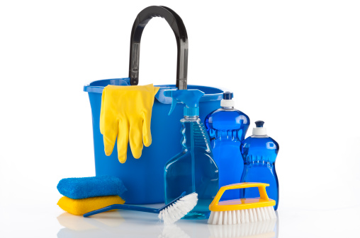 TermineX Pest Control & Sanitary Disposal Services photo 3