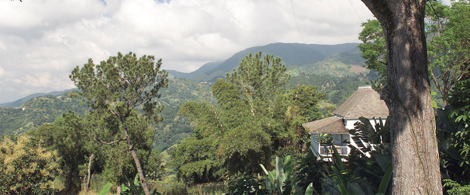 The Insurance Company of the West Indies Ltd photo 2