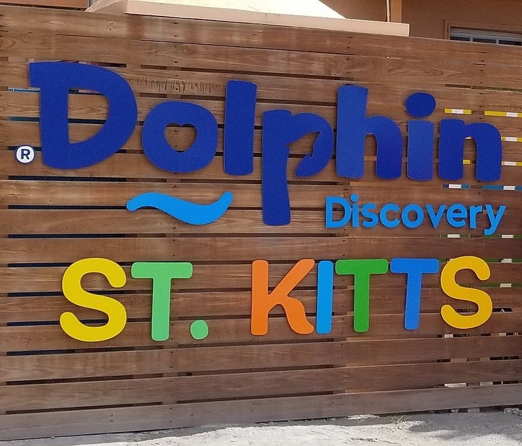 Dolphin Discovery St. Kitts photo 2