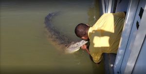 Black River Safari photo 9