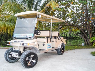 Ocean Breeze Cart Rental photo 4