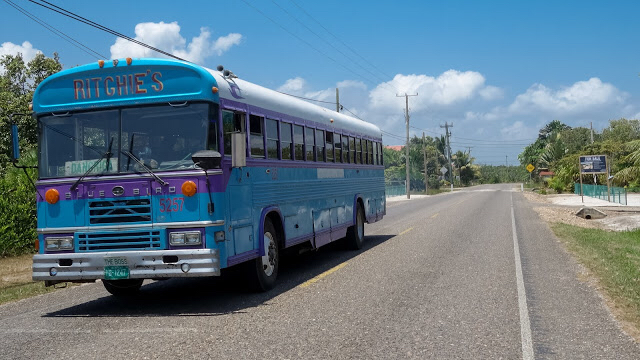 Ritchie's Bus Line photo 2