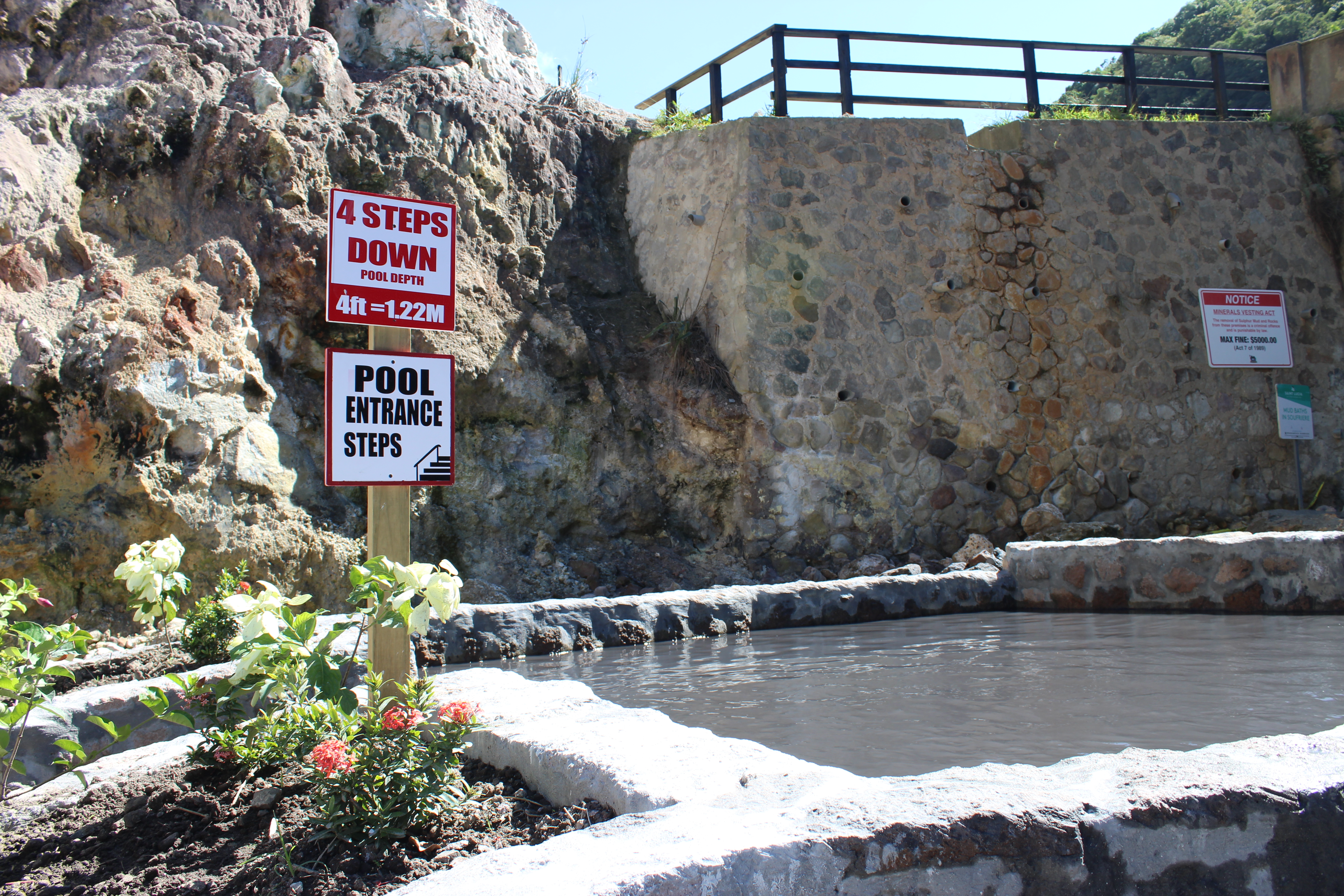Soufriere Regional Development Foundation photo 2