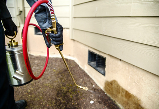 Omega Pest Control Ltd photo 5