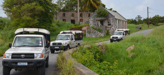 Island Safari (B'dos) Ltd photo 8