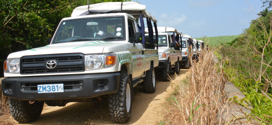 Island Safari (B'dos) Ltd photo 10