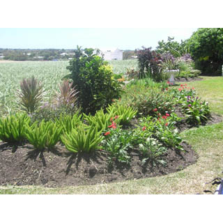 Lawns & Landscapes photo 4
