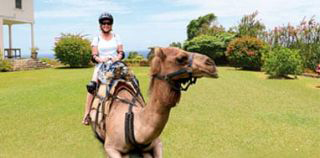 Yaaman Adventure Park photo 8