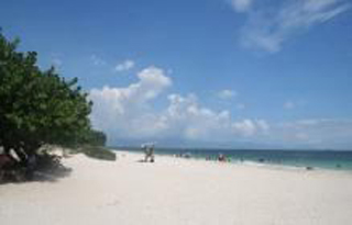 Dunn's River Falls & Park photo 1