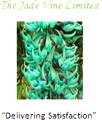 Jade Vine The logo