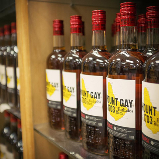 Mount Gay Rum Tours & Visitor Experience photo 9