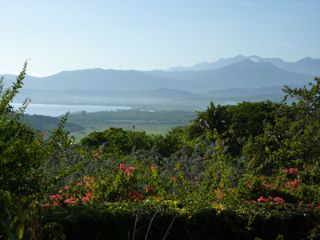Island Surveyors photo 2