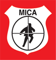 Mica Security Co Ltd logo