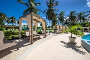 All Seasons Resort - Europa photo 8