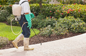 Central Pest Control photo 1