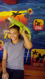 Jamaica Zoo photo 1