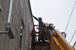 FDL Pest Control Solutions photo 1